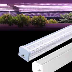 Itoju Hydroponics Succulents Agricultural Commercial Greenhouse Ọgba Mabomire Ip65 Dimmable Cloning Ogbin
